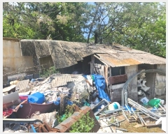  2024Ÿ52544  ϱ ȣ Ӹ 133-1      ð