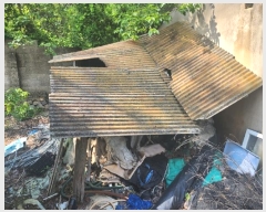  2024Ÿ52544  ϱ ȣ Ӹ 133-1      ð