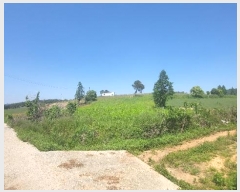  2024Ÿ��52650 ���� ���� ���߸� ���Ǹ� 734-53      ����(��1)���