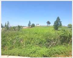  2024Ÿ��52650 ���� ���� ���߸� ���Ǹ� 734-53      ����(��1)���