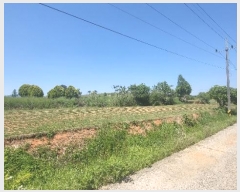  2024Ÿ��52650 ���� ���� ���߸� ���Ǹ� 734-53      ����(��1)���