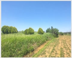  2024Ÿ��52650 ���� ���� ���߸� ���Ǹ� 734-53      ����(��1)���