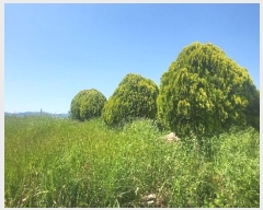  2024Ÿ��52650 ���� ���� ���߸� ���Ǹ� 734-53      ����(��1)���