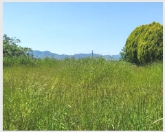  2024Ÿ��52650 ���� ���� ���߸� ���Ǹ� 734-53      ����(��1)���