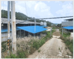  2024Ÿ��52902 ���� ���ȱ� ������ ���ϸ� 13-1      ���(�󰡽ü�)���