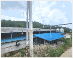  2024Ÿ��52902 ���� ���ȱ� ������ ���ϸ� 13-1      ���(�󰡽ü�)���