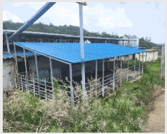  2024Ÿ��52902 ���� ���ȱ� ������ ���ϸ� 13-1      ���(�󰡽ü�)���