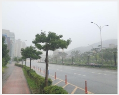  2024Ÿ��53448 ���� ������ �ı���� 128, ���� ��01ȣ (���ϵ�,����������)    ��,�繫�ǰ��