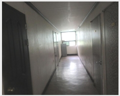  2024Ÿ��54489  ���ڽü����