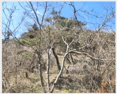  2024Ÿ��54762 ���� ���ȱ� ������ ���Ǹ� 10-4      ���ð��