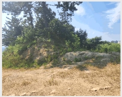  2024Ÿ��54762 ���� ���ȱ� ������ ���Ǹ� 10-4      ���ð��