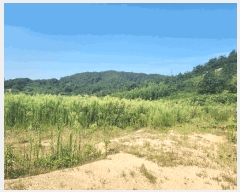  2024Ÿ��54762 ���� ���ȱ� ������ ���Ǹ� 10-4      ���ð��