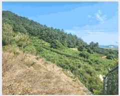  2024Ÿ��54762 ���� ���ȱ� ������ ���Ǹ� 10-4      ���ð��