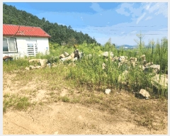  2024Ÿ��54762 ���� ���ȱ� ������ ���Ǹ� 10-4      ���ð��