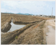  2024Ÿ57914   պҸ л긮 1354-1      ()