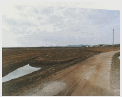  2024Ÿ57914   պҸ л긮 1354-1      ()