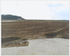  2024Ÿ57914   պҸ л긮 1354-1      ()