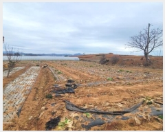  2024Ÿ550  ȱ  긮 1073-1      (1)