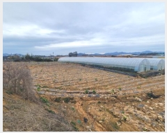  2024Ÿ550  ȱ  긮 1073-1      (1)