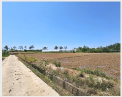  2024Ÿ��1669 ���� ���ϱ� ������ ��ȣ�� 309      ����(��1)���