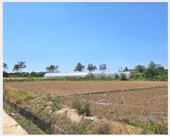  2024Ÿ��1669 ���� ���ϱ� ������ ��ȣ�� 309      ����(��1)���