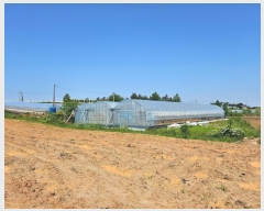  2024Ÿ��1669 ���� ���ϱ� ������ ��ȣ�� 309      ����(��1)���