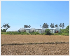  2024Ÿ��1669 ���� ���ϱ� ������ ��ȣ�� 309      ����(��1)���