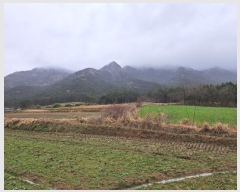  2024Ÿ50173  ϱ   86      (Ӿ)