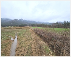  2024Ÿ50173  ϱ   86      (Ӿ)