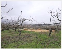  2024Ÿ50173  ϱ   86      (Ӿ)