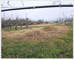  2024Ÿ50173  ϱ   86      (Ӿ)