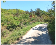  2024Ÿ52032  žȱ   102-1      (Ӿ)