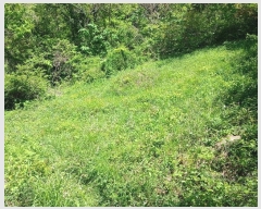  2024Ÿ52032  žȱ   102-1      (Ӿ)