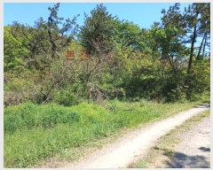  2024Ÿ52032  žȱ   102-1      (Ӿ)