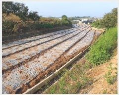  2024Ÿ3368  ȱ   95      ()