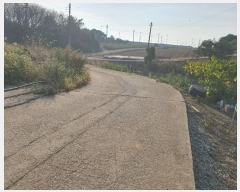  2024Ÿ3368  ȱ   95      ()