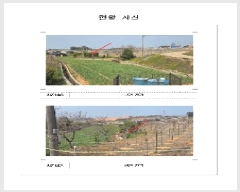  2024Ÿ3368  ȱ   95      ()