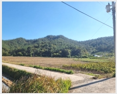  2024Ÿ��4224 ���� �žȱ� ������ ������ ��138      ����(�Ӿ�)���