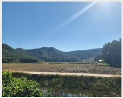  2024Ÿ��4224 ���� �žȱ� ������ ������ ��138      ����(�Ӿ�)���