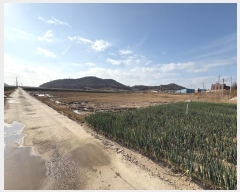  2024Ÿ��4637  �����