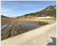  2024Ÿ4637  žȱ ڸ θ 428-3      ()