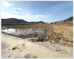  2024Ÿ4637  žȱ ڸ θ 428-3      ()