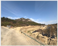  2024Ÿ4637  žȱ ڸ θ 428-3      ()