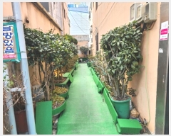  2024Ÿ��4699 ���� ������ ��絿 1055-15       ���ڽü�,����,ȣ��,�������