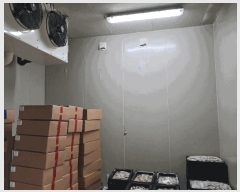  2024Ÿ��4712 ���� ���ȱ� ������ �ջ긮 1256-9      ������