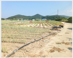  2024Ÿ��54809 ���� �žȱ� ������ ������ 730-6      ����(��1)���