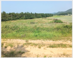  2024Ÿ��54809 ���� �žȱ� ������ ������ 730-6      ����(��1)���