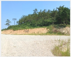  2024Ÿ��54809 ���� �žȱ� ������ ������ 730-6      ����(��1)���