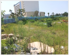  2024Ÿ��54809 ���� �žȱ� ������ ������ 730-6      ����(��1)���