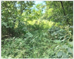  2024Ÿ��55130 ���� ���ȱ� ������ ������ 204-14      ����(��1)���